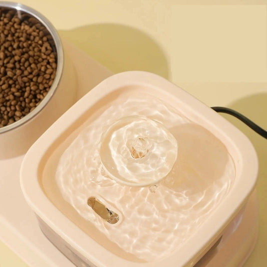 2-in-1 Cat Water Dispenser & Feeding Bowl – Automatic, Easy-Clean